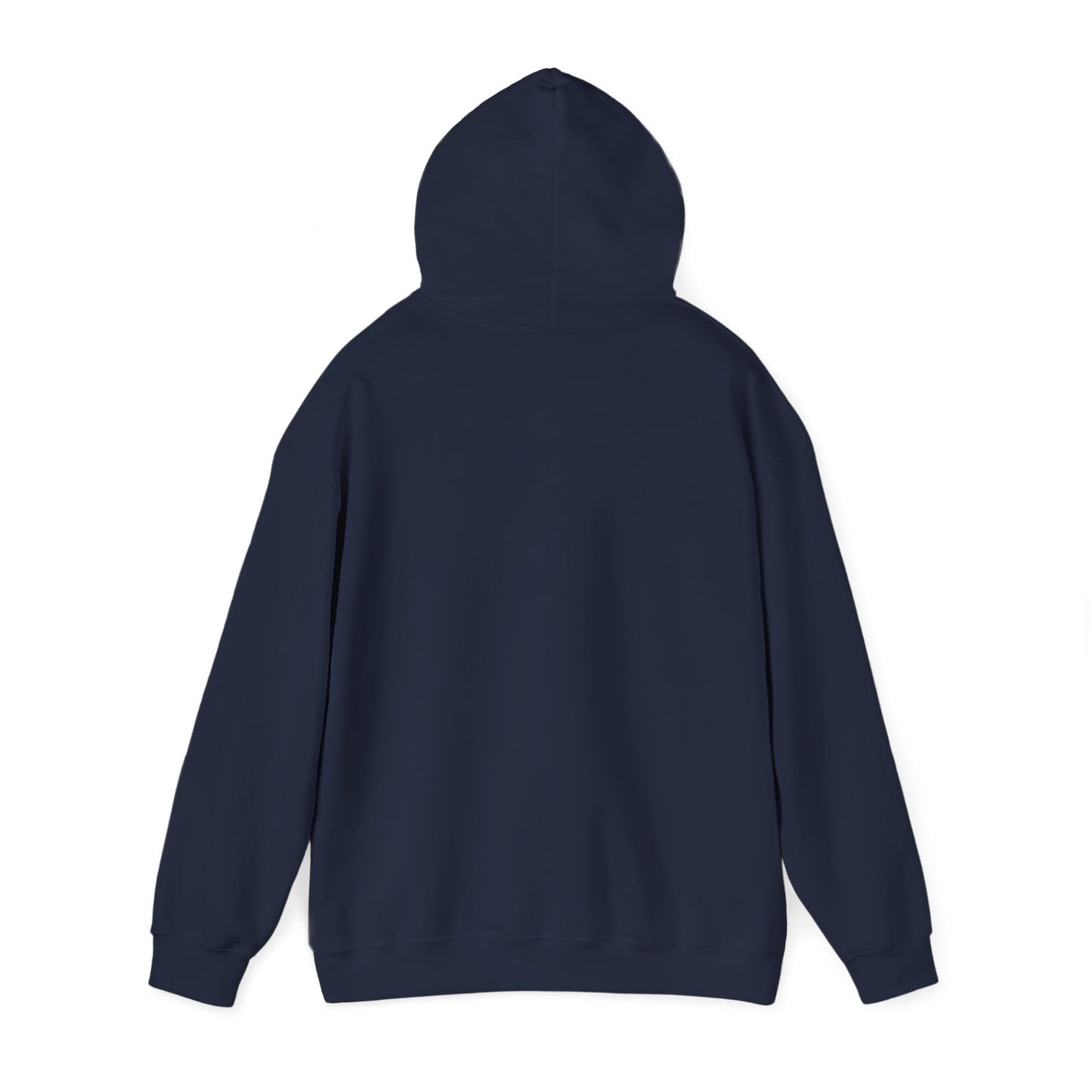 Desert UFO Cowboy Hoodie | Retro Alien Abduction, Vintage Western Sci‑Fi