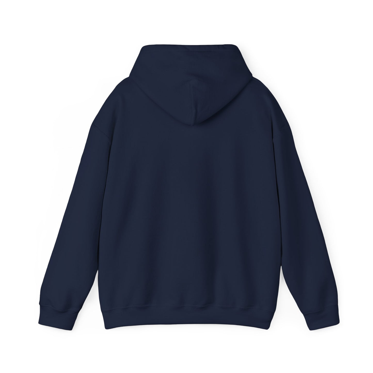 Desert UFO Cowboy Hoodie | Retro Alien Abduction, Vintage Western Sci‑Fi